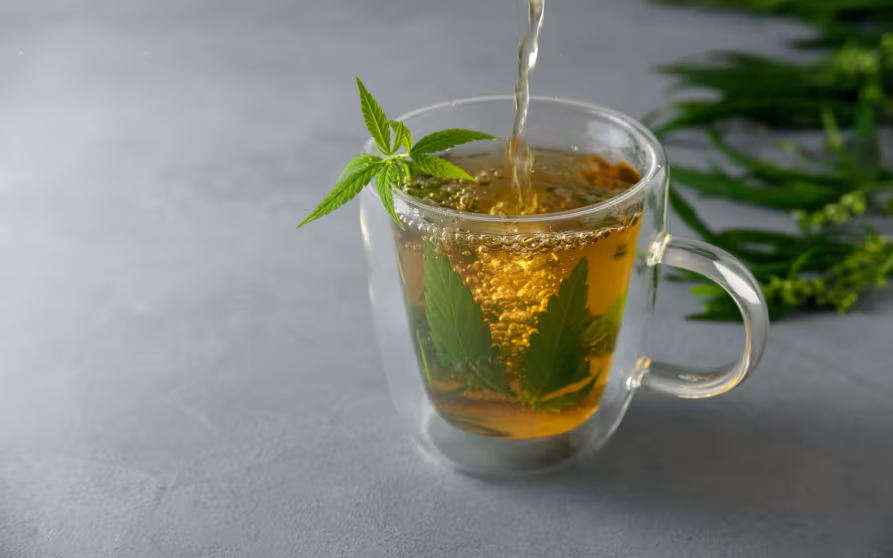 Infusions et tisanes au CBD